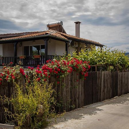 Villa Beni - 4 Bedroom Private House By Flаt Manаger Lozenets Luaran gambar